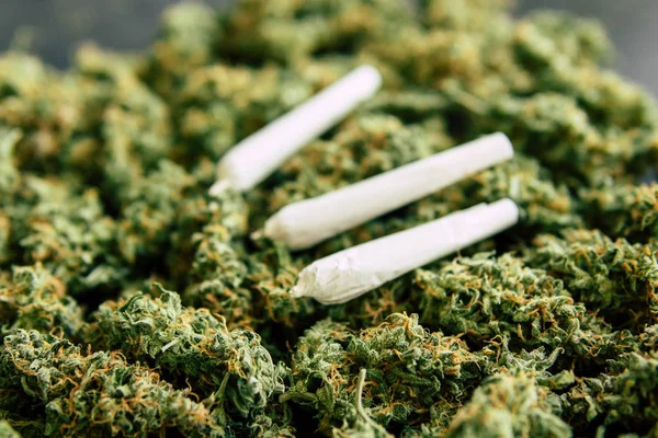 Articulación sobre verde Fondo de brotes de cannabis, marihuana flor hierba vista superior —  Fotos de Stock