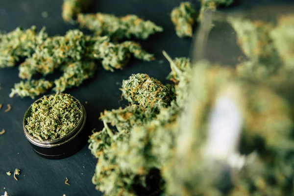 Brote de marihuana cerrar las flores de cannabis. molinillo y triturado de cannabis Macro inyección de cannabis — Foto de Stock