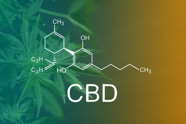 CBD Chemical Formula, CBD Chemical Formula, Beautiful background of green cannabis flowers A place for copy space — Stock Photo, Image