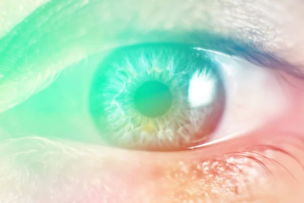 Human Female eye macro. Closeup shot of female gray - blue colour Light toning