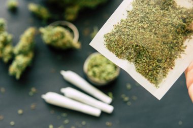 Esrar trichomes ve ezilmiş ot ortak ot siyah masayı yakın makro esrar tomurcukları