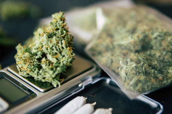Dark background, A drug dealer holds a packet of marijuana weed — Stock Photo, Image