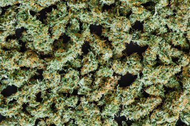 esrar dokular arka plan esrar otu