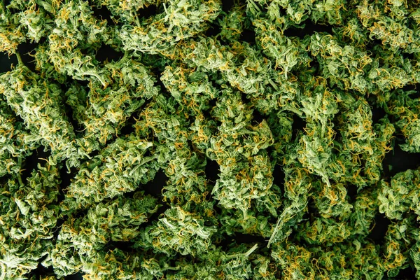 Boccioli di fiori cannabis Sfondo, marijuana, erbaccia vista dall'alto copia spase vista dall'alto — Foto Stock