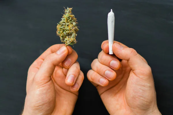 Cannabis bud na mão de homem rolou botões comuns de maconha, erva daninha desenrolada em um fundo branco vista superior uso conforto perto sbd — Fotografia de Stock