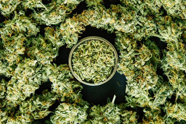 Sfondo di coni freschi di fiori di cannabis laminati giunto con marijuana contro — Foto Stock