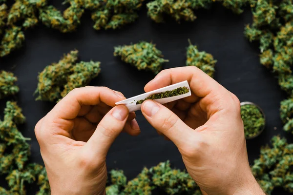 Visão superior Junção rolou na mão Um monte de maconha botões frescos de maconha muitas ervas daninhas. Espaço de cópia Espaço de cópia — Fotografia de Stock