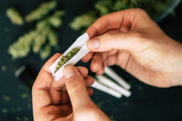 Mão de homem Cones bud de flores de maconha cannabis na mão de homem preto fundo Rolled conjunta cannabis erva daninha em — Fotografia de Stock