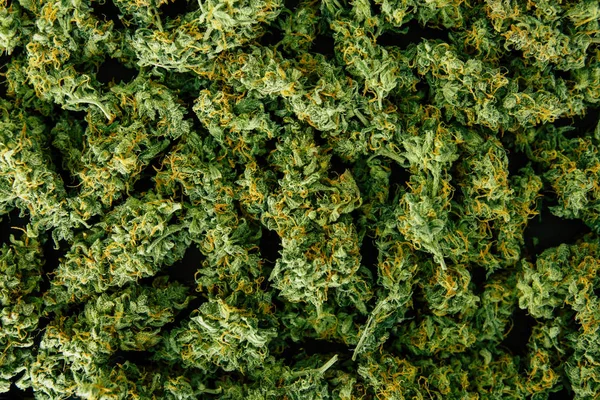 Weed top view copy spase top view flower buds cannabis Background, marijuana, — Stock Photo, Image