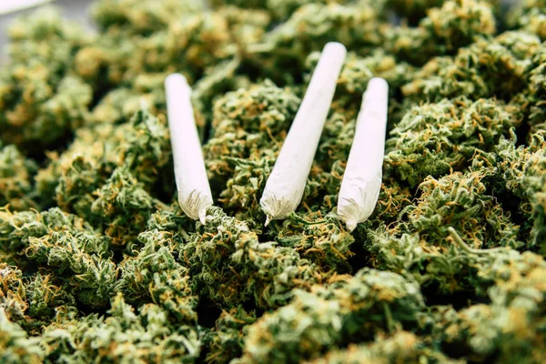 Close up Joint and Background germoglio di cannabis, marijuana fiore erbaccia vista dall'alto copia spase — Foto Stock