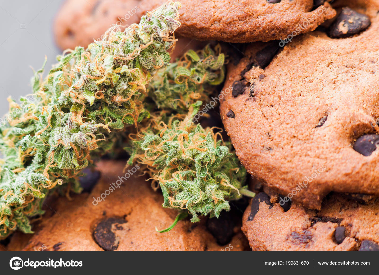 печенье с марихуаной