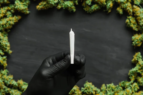 Articolazione in mano Un sacco di marijuana germogli freschi di cannabis molte erbacce. Copia spase Copia-spazio — Foto Stock