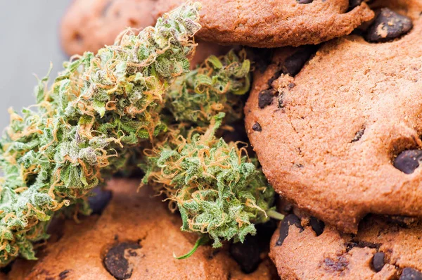 Leczeniu marihuany do stosowania w żywności ciasteczka z konopi i pąki marihuany na stole. — Zdjęcie stockowe