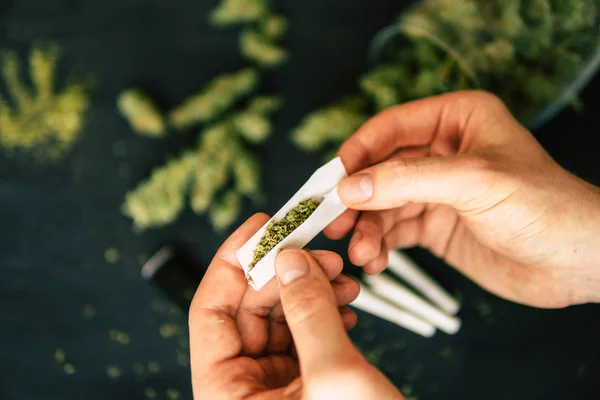 Maconha comum laminada erva daninha na mão do homem Cones bud de flores de maconha cannabis na mão do homem fundo preto — Fotografia de Stock