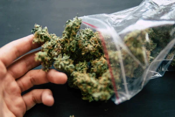 Bloemen bud cannabis die macro met schubben geschoten — Stockfoto