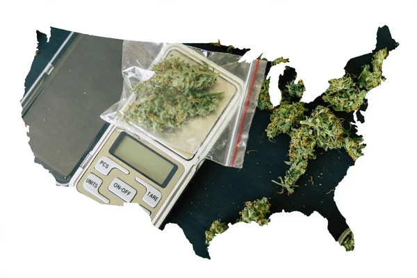 Cannabis Bud i enad stat i Amerika, juridiska Marijuana i Amerika. Makro skott av cannabis blommor med trichomes på ett fjäll med en mörk bakgrund ovanifrån — Stockfoto