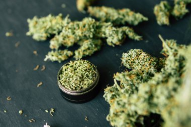 Makro trichomes ve ezilmiş ot siyah bir tablo ile esrar tomurcukları esrar ortak ot kadar kapatın