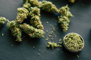 trichomes ve ezilmiş ot bir canapis siyah bir doğrama için bir değirmeni marihuana ile makro masa