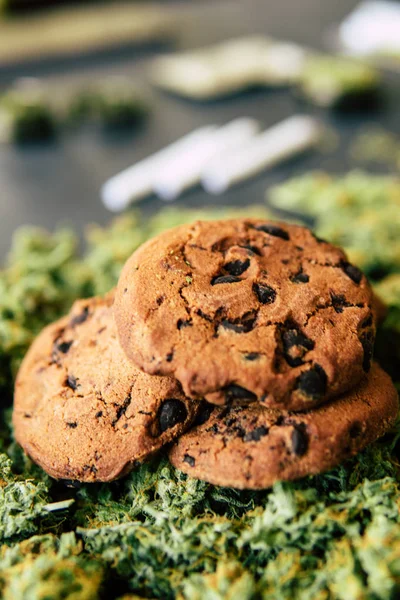 Concetto di cucina con erba di cannabis. Trattamento della marijuana medica per uso alimentare, su sfondo nero. Biscotti con cannabis e boccioli di marijuana sul tavolo . — Foto Stock