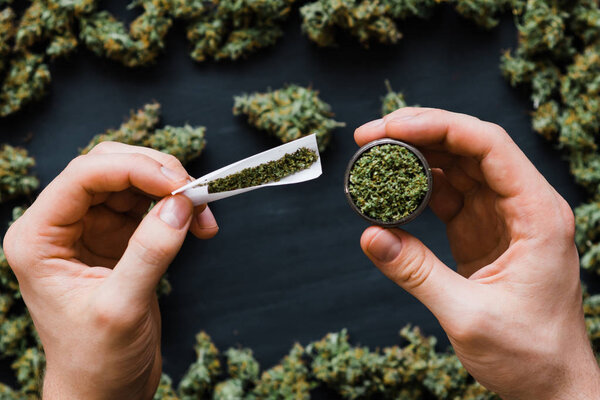 молоть и сустав проката в руке много марихуаны свежие почки конопли много травы. Пространство для копирования
