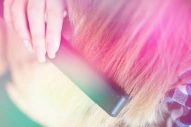 Işık tonlama styler parlayan saçları üzerinde kullanan genç güzel kız portresi