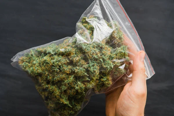 Weed in hand .A lot of marijuana Package with weed and fresh buds of cannabis many weed. Big Package Copy spase Copy-space joint fresh green buds — Stock Photo, Image