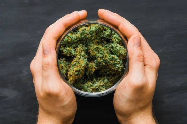 Botões frescos de cannabis nas mãos de um homem. Muita marijuana. Conceitos de legalizar a erva. Vista superior. Fechar . — Fotografia de Stock
