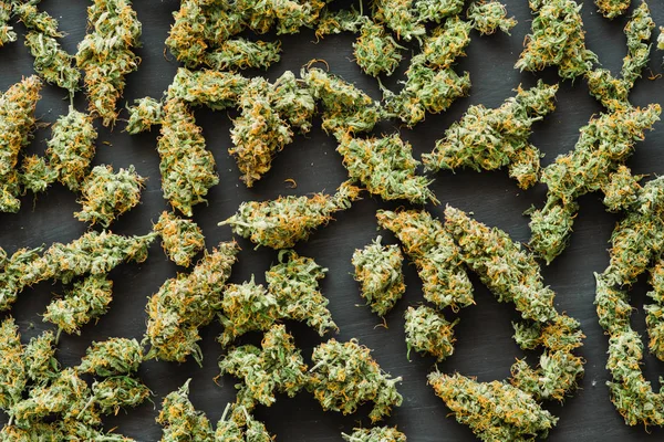 Many bud cannabis marijuana weed — Stock Photo, Image