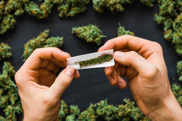 Man rolled Joint en la mano Un montón de marihuana brotes frescos de cannabis — Foto de Stock