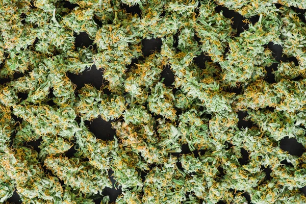 Cannabis textures background marijuana weed — Stock Photo, Image