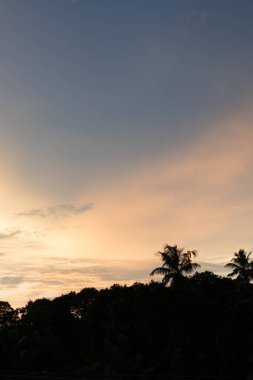 gün batımında palmiye ağaçlarının silüetler ile güzel tropikal plaj
