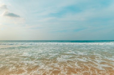 tropikal sarı kum plaj ve mavi gökyüzü