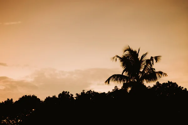 Красивий тропічний пляж з силуетами пальм на заході сонця — стокове фото