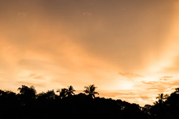 ペナン、マレーシアでココナッツの木で夕方日没海辺を表示します。. — ストック写真