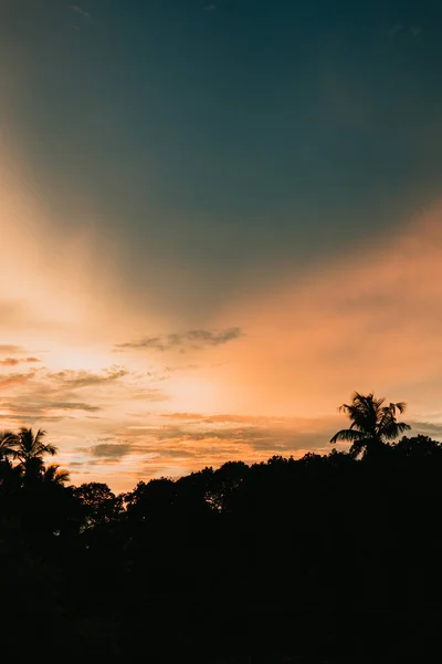 Silhouetten von Palmen spiegeln sich im Wasser an einem tropischen Strand in der Abenddämmerung. — Stockfoto
