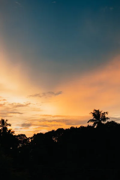 Кокосові пальми на рожевому тропічному заході сонця над спокійним морем — стокове фото
