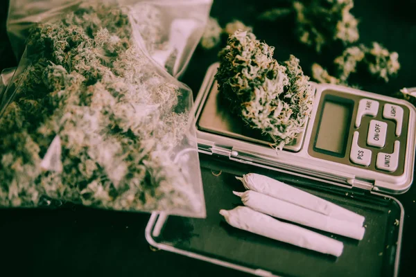 Cannabis tunas Marijuana dan bersama pada Weighs Pada skala di atas meja di atas meja dengan nada hijau murung — Stok Foto