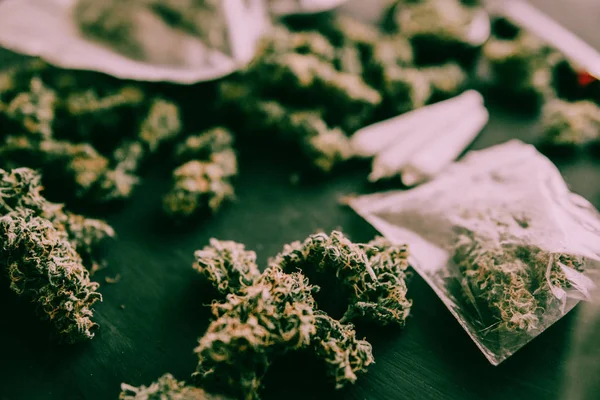 Cannabis tunas Marijuana dalam paket di atas meja dan bersama di atas meja dengan nada hijau murung — Stok Foto