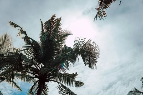 Plage Takamaka, île de Mahe, Seychelles gros plan — Photo