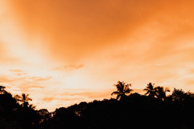 Taveuni Island, Fiji Lavena Köyü plajında renkli güneş doğuyor. Taveuni Fiji'de üçüncü büyük adasıdır.