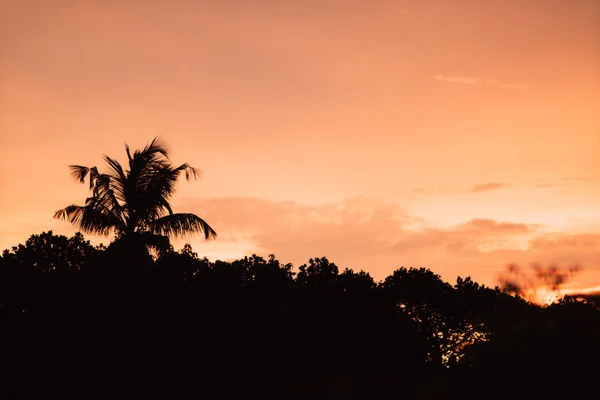 Kopieren Sie Raum der Silhouette tropische Palme mit Sonnenlicht am Himmel bei Sonnenuntergang und Wolke abstrakten Hintergrund. Sommerurlaub und Naturerlebnis-Konzept. Vintage Ton Filtereffekt Farbstil. — Stockfoto