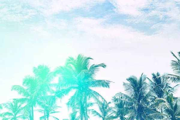 Hermosa playa soleada. Vista de la bonita playa tropical con palmeras — Foto de Stock