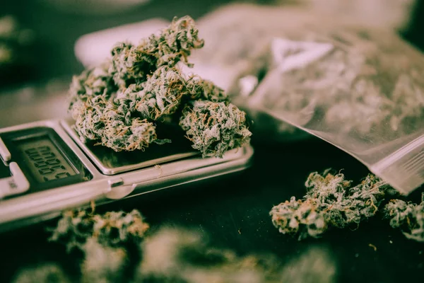 Cannabis Gemme di marijuana sui pesi Sulle squame sul tavolo e articolazione sul tavolo in tono verde lunatico — Foto Stock