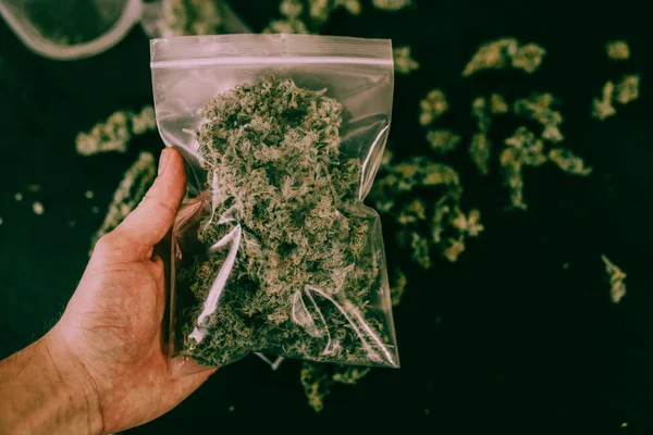 Paquete de marihuana en la mano Brotes de cannabis en el paquete sobre la mesa y articulación sobre la mesa en un tono verde malhumorado — Foto de Stock