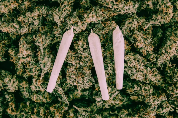 Giunti su germogli di cannabis e erba e germogli tono verde lunatico Macro di articolazioni di marijuana — Foto Stock