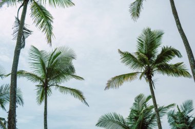Güzel gün batımı beach Resort tropikal yakın çekim