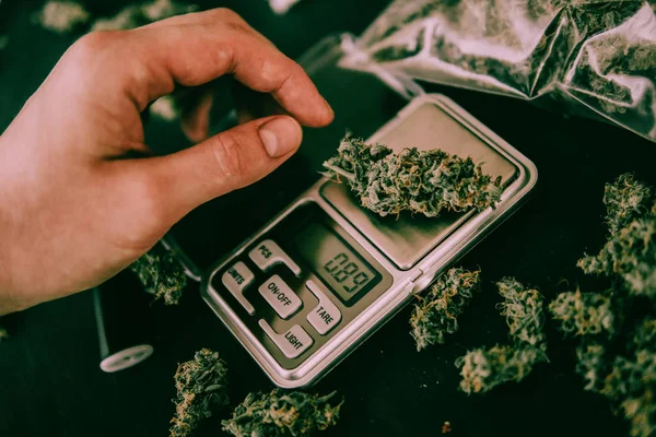 Cannabis buds in hand Weighs On the scales on the table and joint on table in a moody green tone Marijuana — Stock Photo, Image