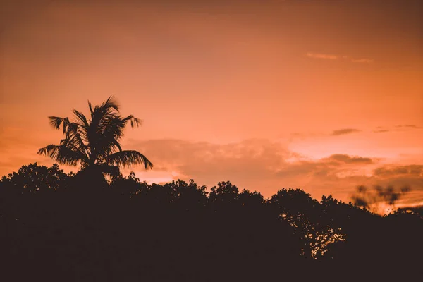 Nascer do sol colorido na praia na aldeia de Lavena, na Ilha Taveuni, Fiji. Taveuni é a terceira maior ilha de Fiji . — Fotografia de Stock