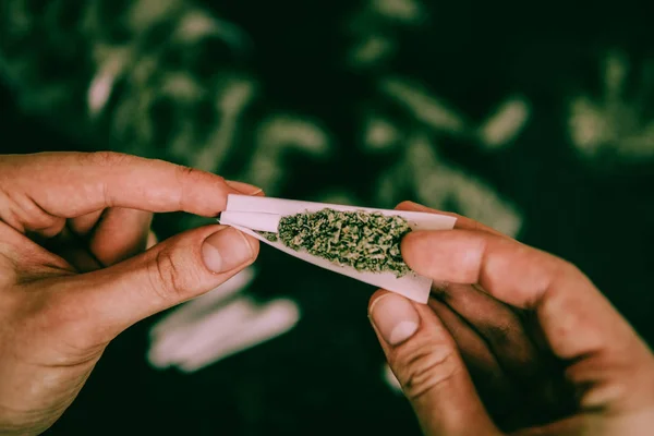 Macro de joint de marijuana avec trichomes et mauvaises herbes broyées ton vert humide — Photo