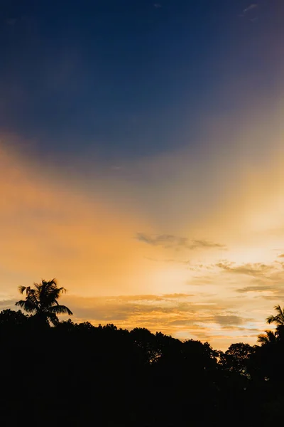 Захід сонця над океаном з тропічними пальмами силуетна панорама. — стокове фото